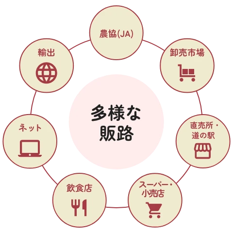 多様な販路：農協(JA)、卸売市場、直売所・道の駅、スーパー・小売店、飲食店、ネット、輸出