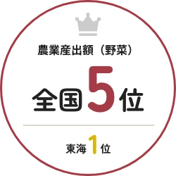 農業産出額（野菜）全国5位 東海1位