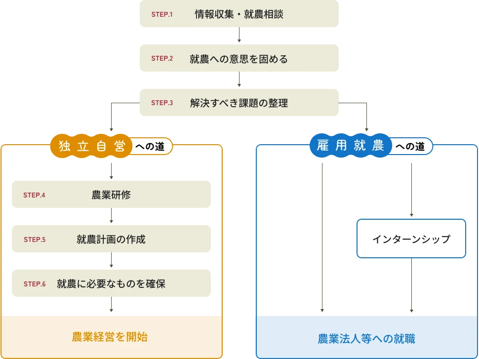 STEP.1 情報収集・就農相談、STEP.2 就農への意思を固める、STEP.3 解決すべき課題の整理、独立自営への道：STEP.4 農業研修、STEP.5 就農計画の作成、STEP.6 就農に必要なものを確保、農業経営を開始、雇用就農への道：農業法人等への就職、インターンシップ→農業法人等への就職